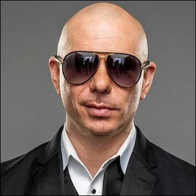 Obrázek Pitbull
