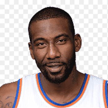 Amaras'e Stoudemire Image